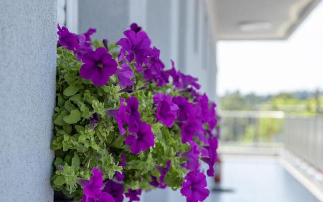Briki Suites