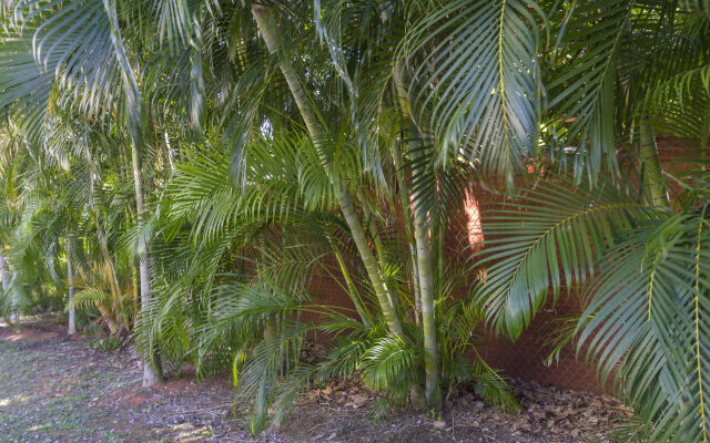 Broome Beach Resort