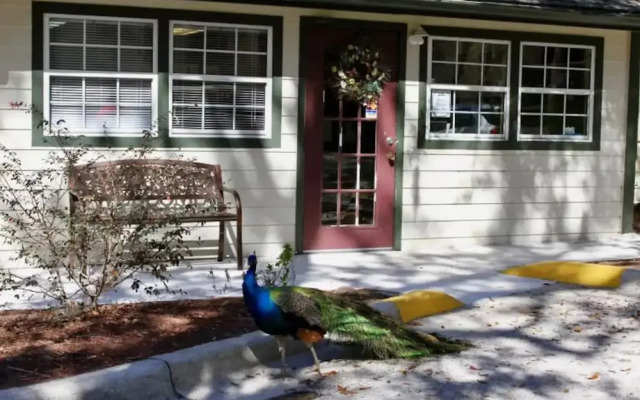 The Tropical Oaks Villa - Near Disney