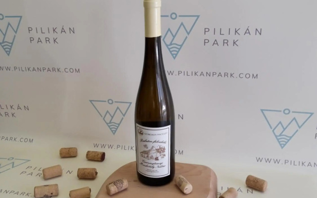 Pilikán Apartments - Park - Vineyard & Sheep farm