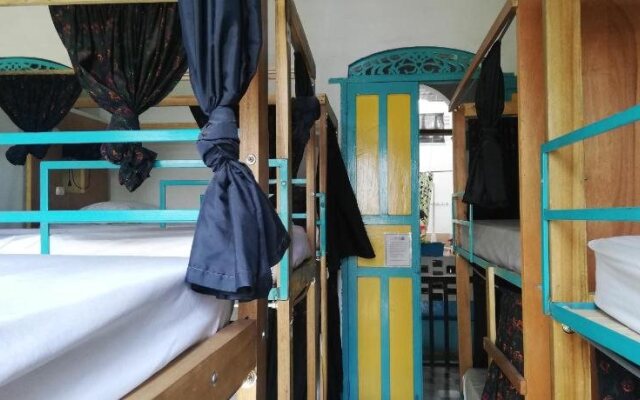 Hostel Arbore