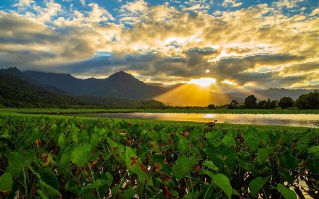 Hale Kanani (Kaua'i) - 2 Br Apts