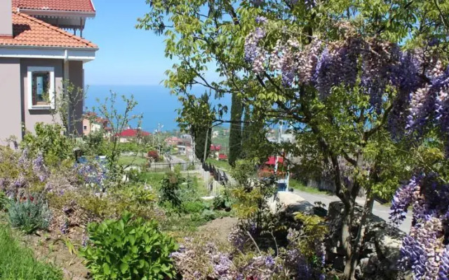 Kral Villa