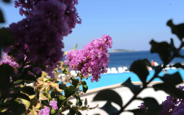 Hotel Villas Plat