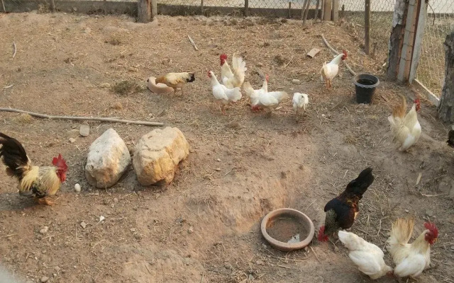 Khoom Kam Kaew Farm & Resort