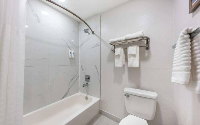 Comfort Inn & Suites Belton Temple South I-35
