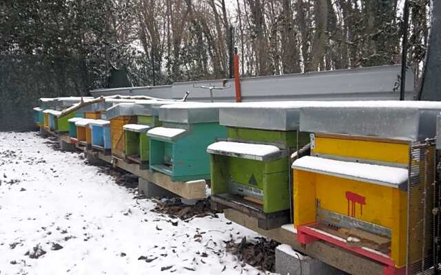 B&B Honey Farm