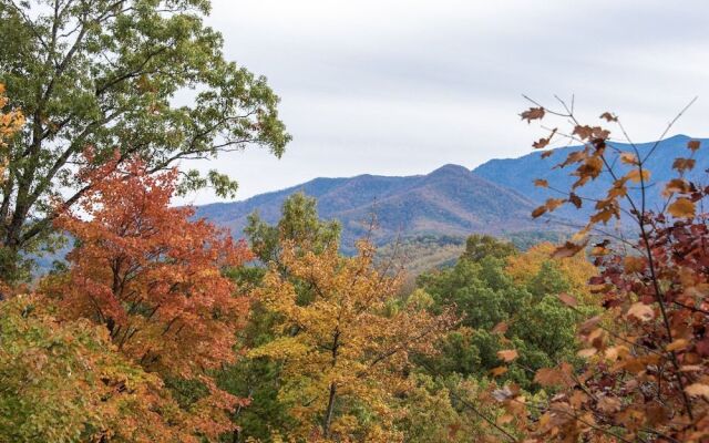 Enchanted View Lodge