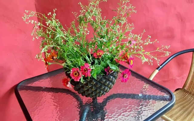 Salamandra Guest House