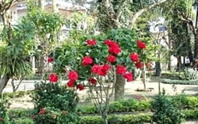 Rhino Lodge & Hotel