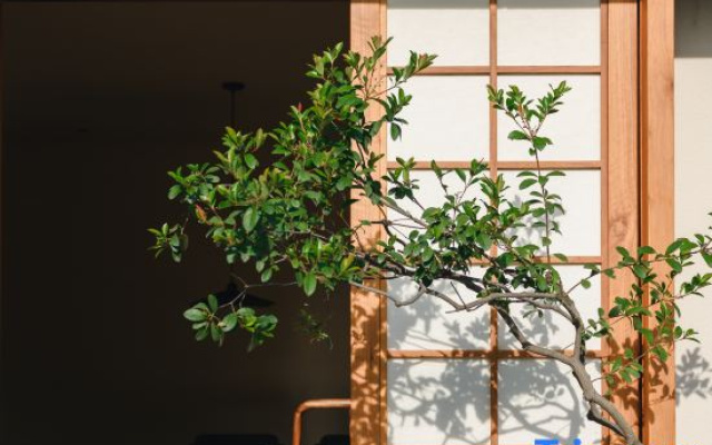 Wuyishan Minpin Aesthetic Space B&B