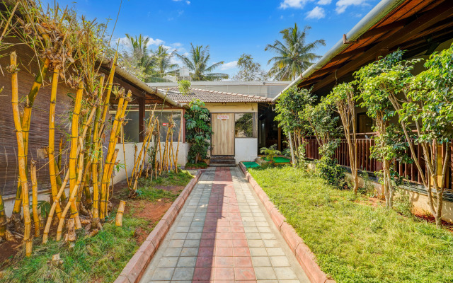 Super Collection O Bannergatta Road Near Decathlon