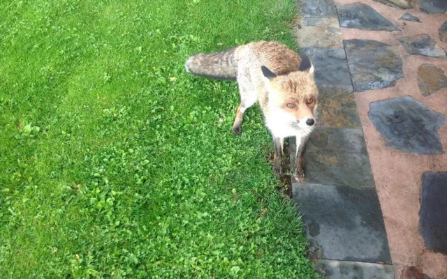 Hostal Rural La Calera