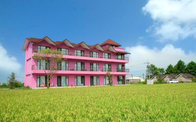 Pink Castle House
