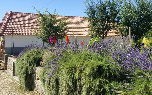 Quinta Do Acipreste (Antiga Quinta Da Torre)