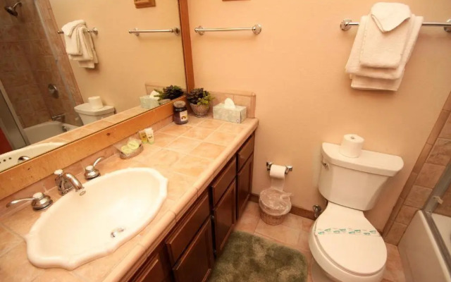 Mountainback #59 dog friendly