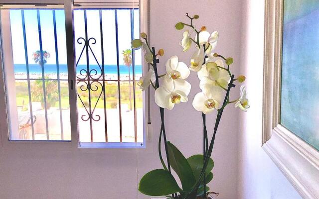 Frente al mar 1ª línea de playa