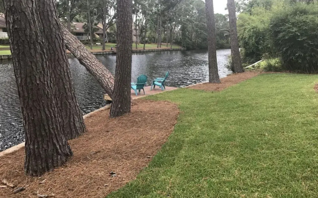 Palmetto Paradise 3 Bedroom Holiday Home