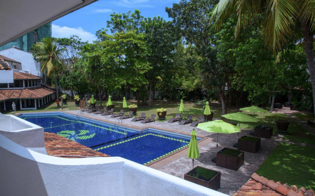 Palms, Mount Lavinia