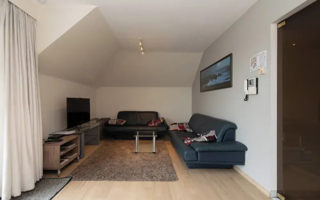 Spacious Apartment With Terrace