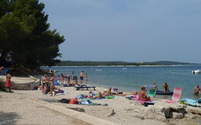 Happy Camp Mobile Homes in Brioni Sunny Camping