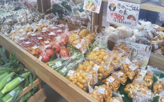 Guest House Hostel yukuru