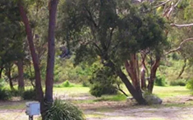 Scamander Tourist Park