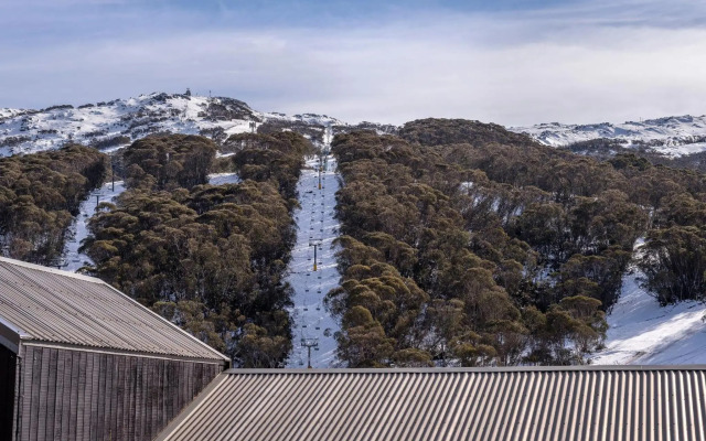 KoKo Nanook Squatters 15