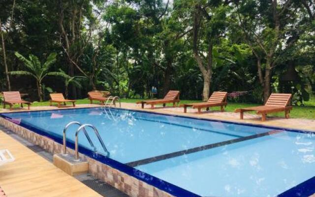 Birds Paradise Inn