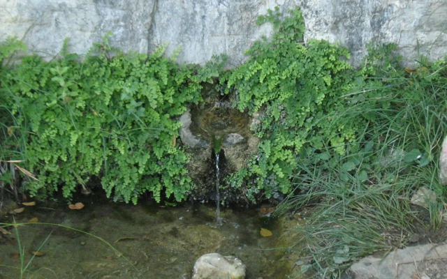 Traditional Stonehouse
