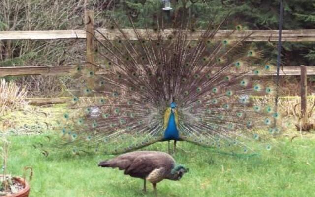 The Country Cedar Inn