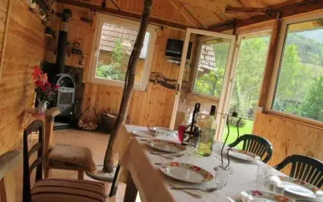Casa de vacanta Vidrighin