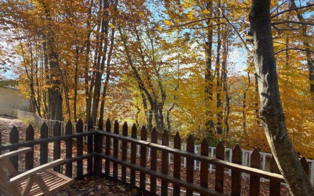 Yaban Yasam Chalets