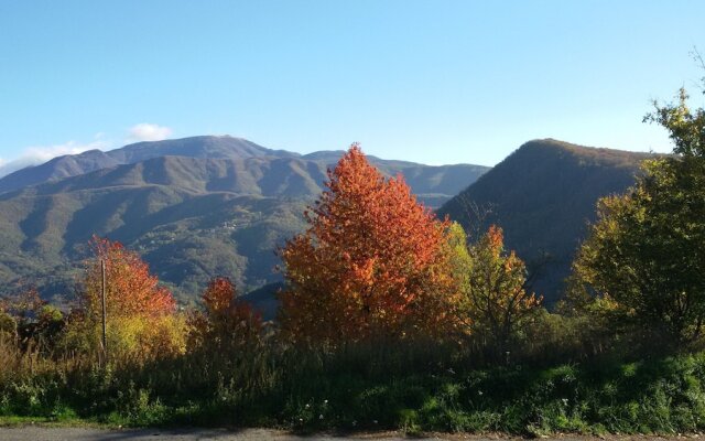 B&B Salino