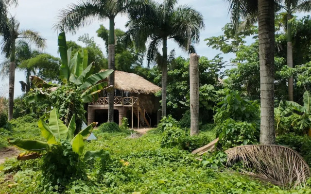 Dominican Jungle Resort