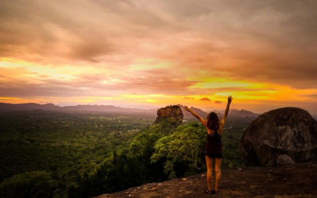 Thick forest sigiriya