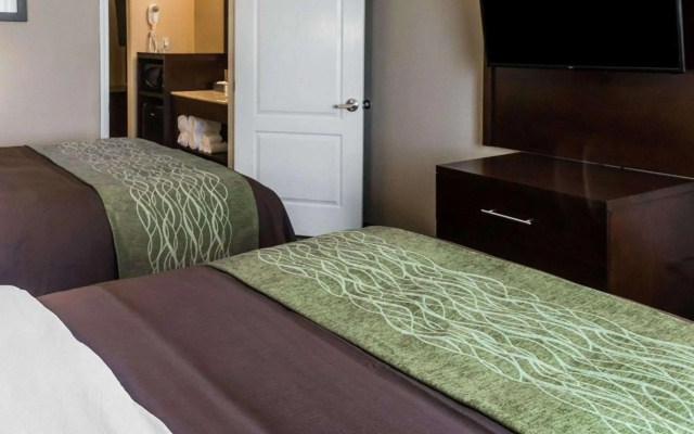 Comfort Inn & Suites Pharr - McAllen