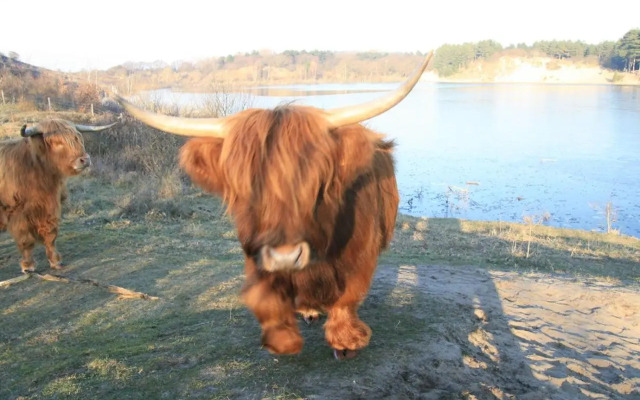 Perfect Stay Holiday, Moment at Sea