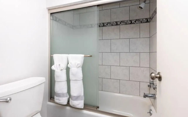 Wintergreen Retreat Jacuzzi Sauna dog Friendly