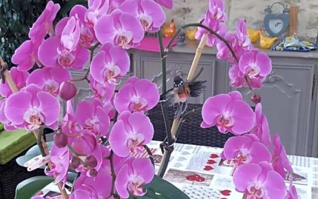 LES ORCHIDEES Ch H¿tes B&B 14 personnes Jaunay-Clan