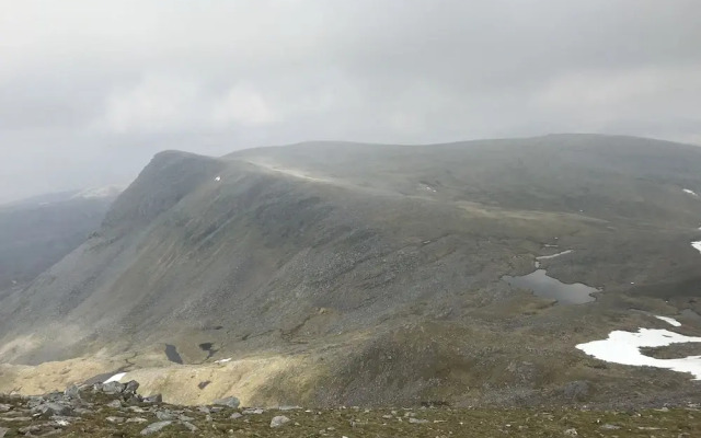 Braemore Walled Garden B&B