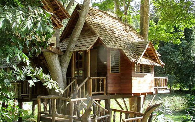 Rabeang Pasak Treehouse Resort