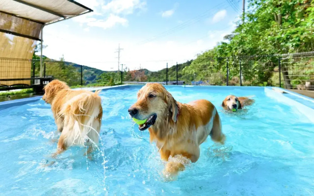 Partners House Yuasa