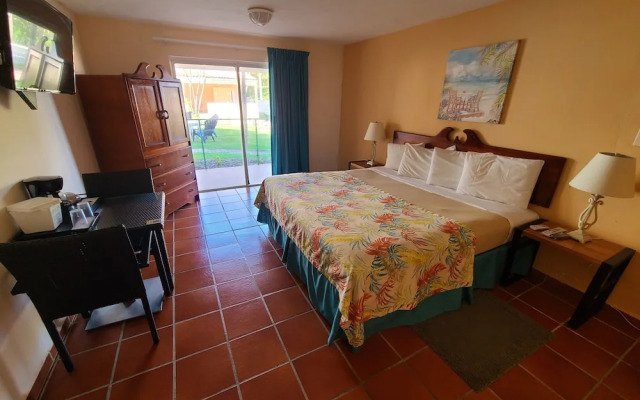 Parador Palmas de Lucía