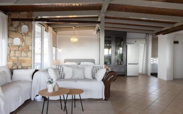 Sunny Loft With a Panoramic View
