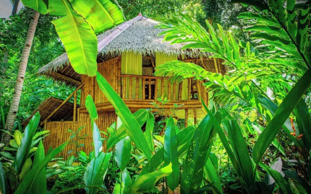 Water To Forest Ecolodge