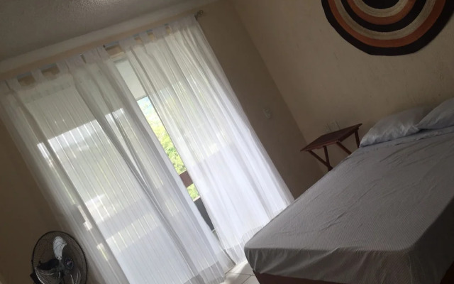 Adamaris Condo Condesa