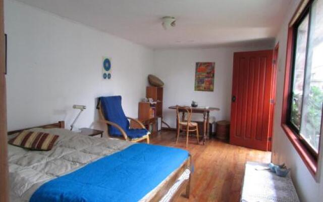 Habitación los aromos 245