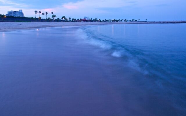 Seagaia Forest Cottages