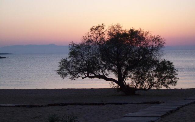 Comfortable House near Chania
